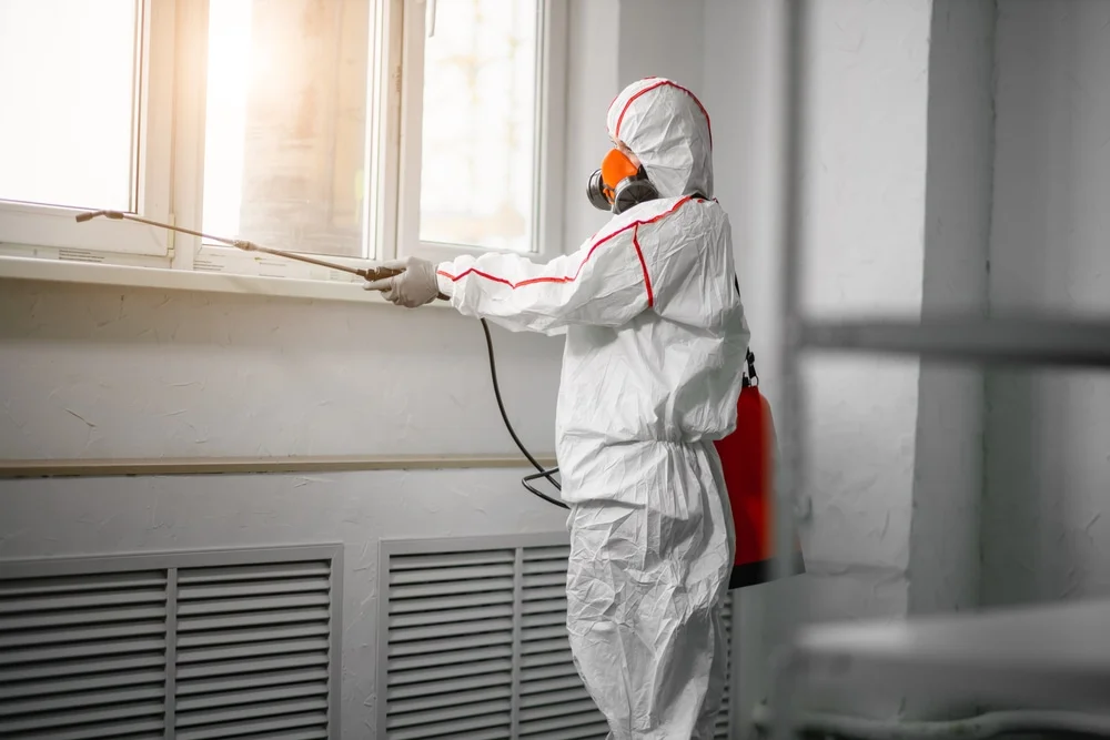 Professional mold remediation services in Argyle, TX